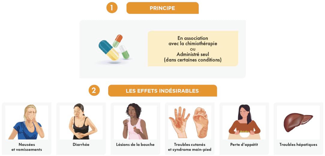 Les thérapies ciblées